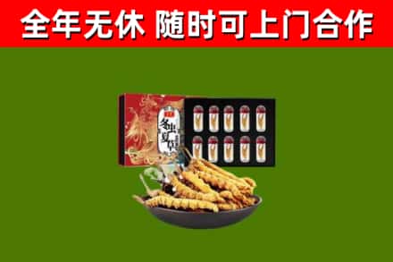 阳原县回收冬虫夏草价格